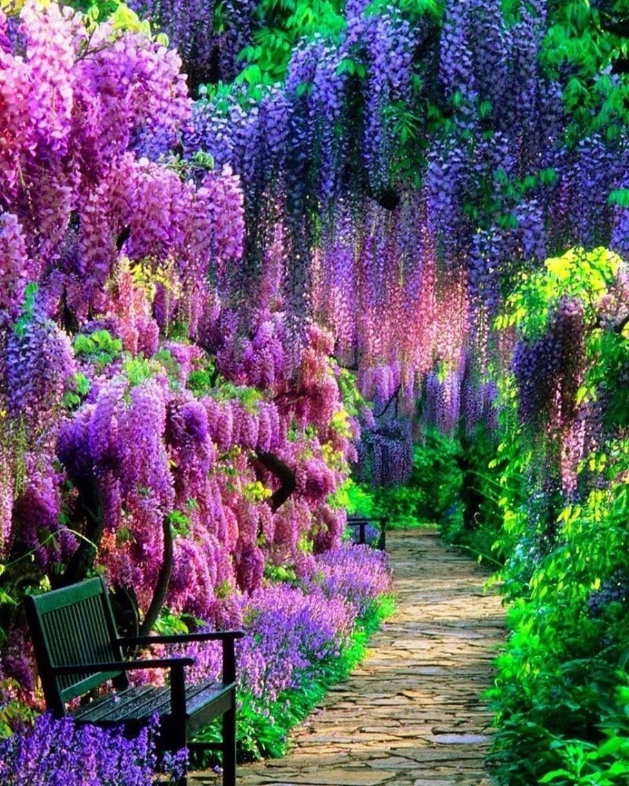 Сад Кавати Фудзи Япония