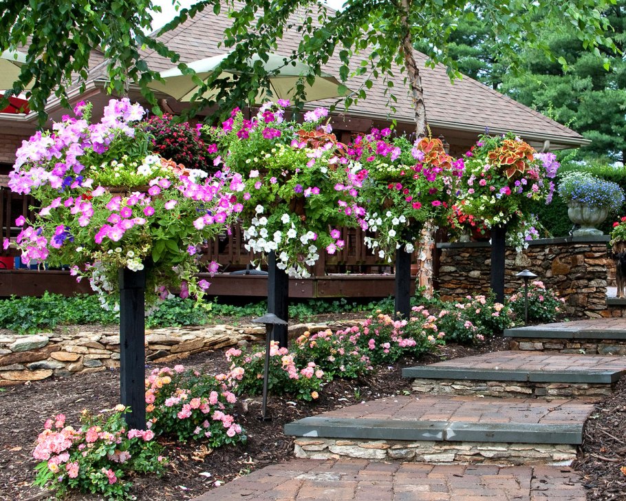 Памела Кроуфорд контейнерные сады