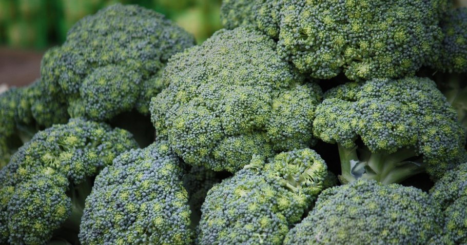 Брокколи Баро Стар