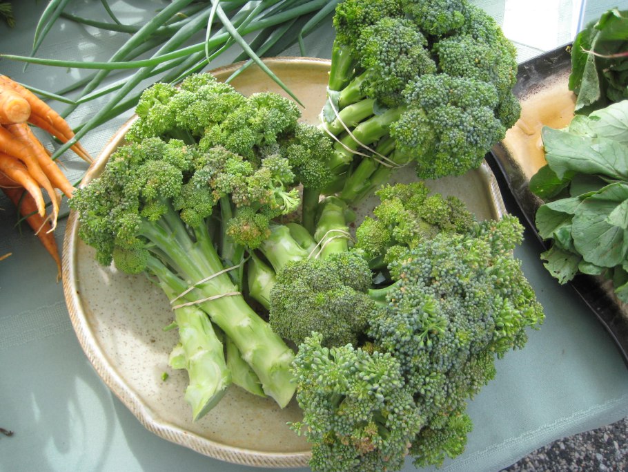 Элен брокколи