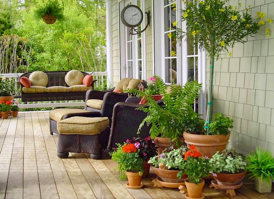 Озеленение патио зона