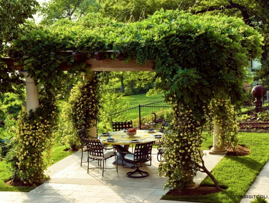 Пергола Берсо