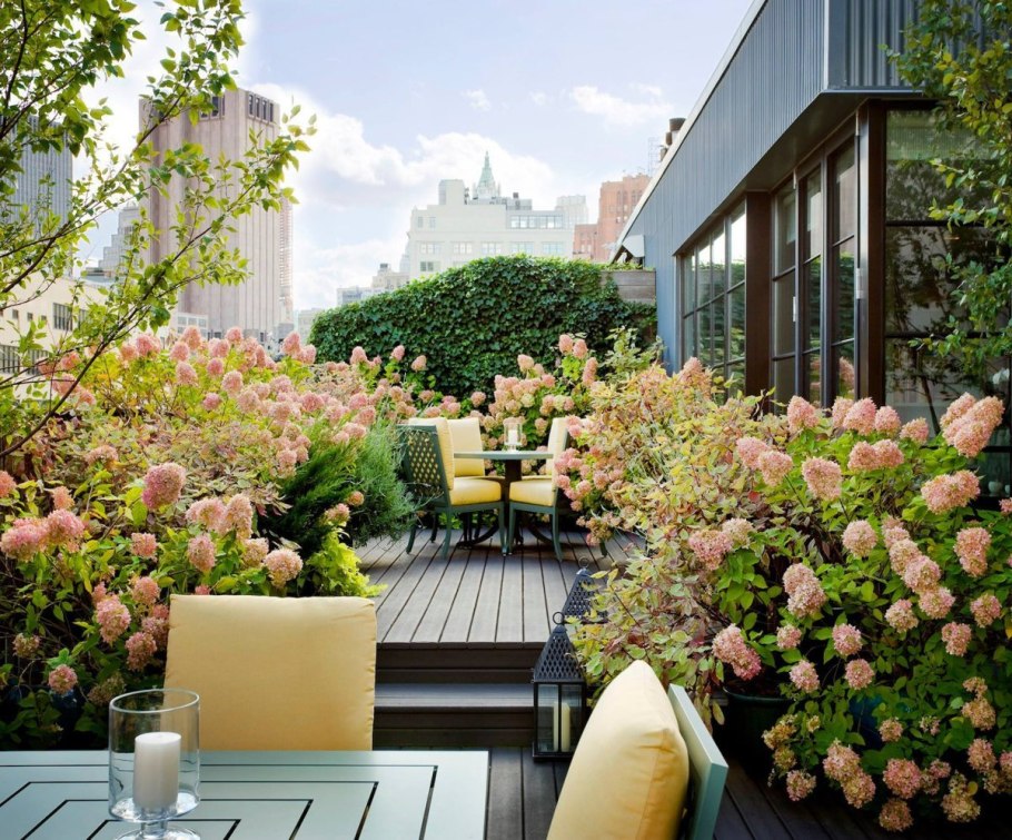 Контейнерное Озеленение патио