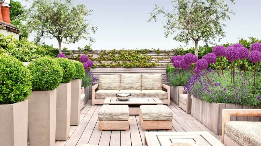 Озеленение террасы