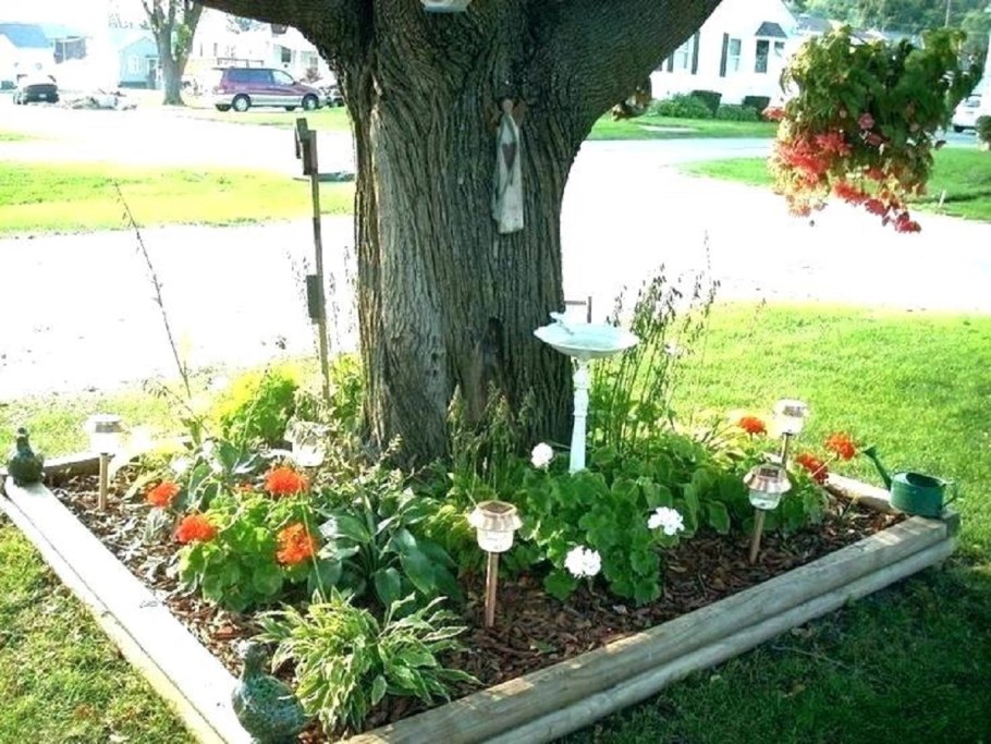 Приствольная клумба у яблони