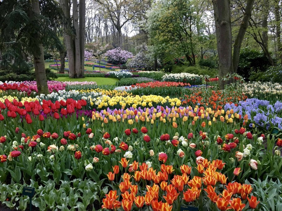 Амстердам парк Кекенхоф