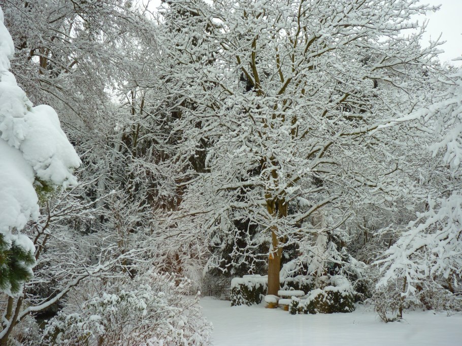 Зимняя природа