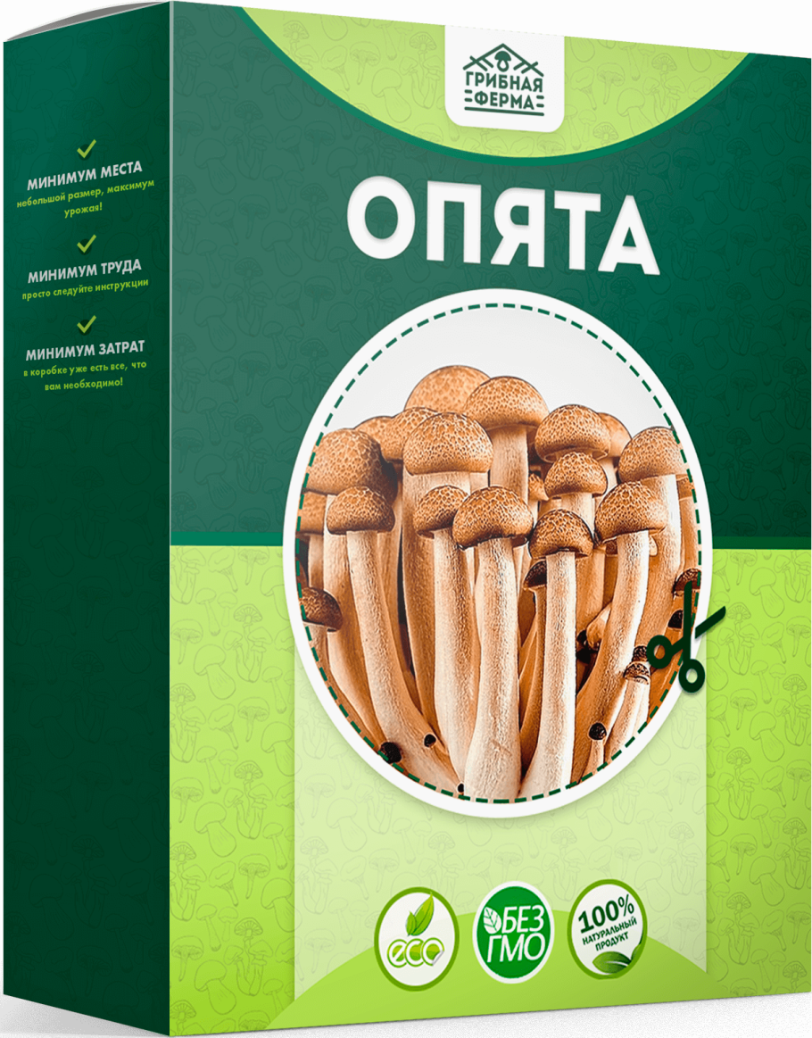 Набор для выращивания грибов в домашних условиях