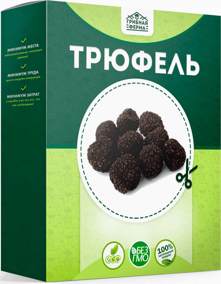 Грибная ферма в коробке