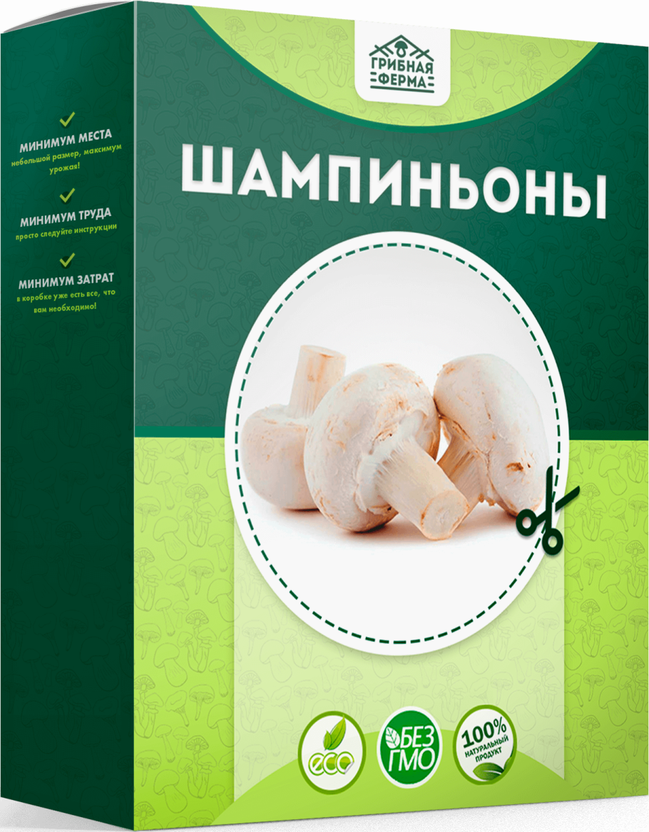 Бизнес грибы вешенка