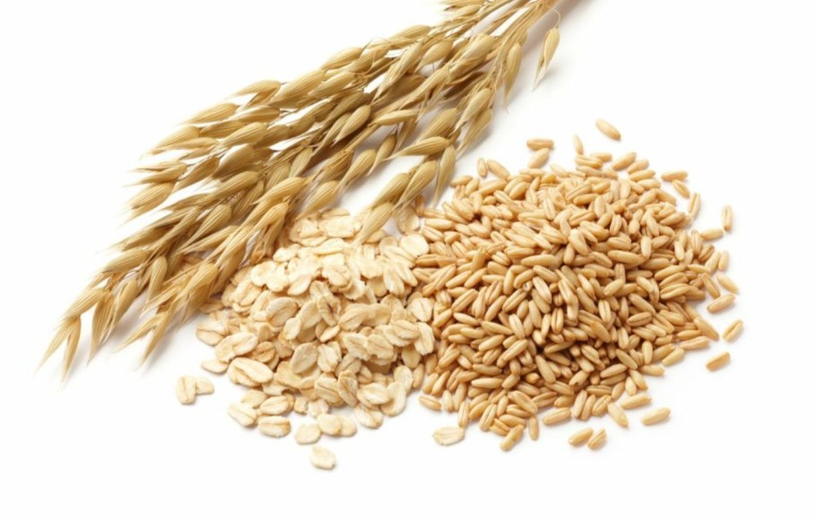 Злаки на белом фоне растение и крупа кукуруза