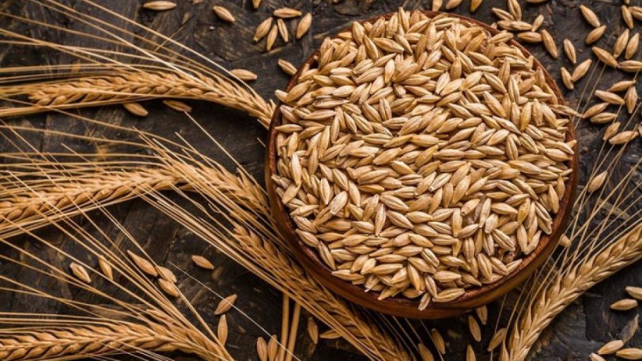 Ячменное зерно