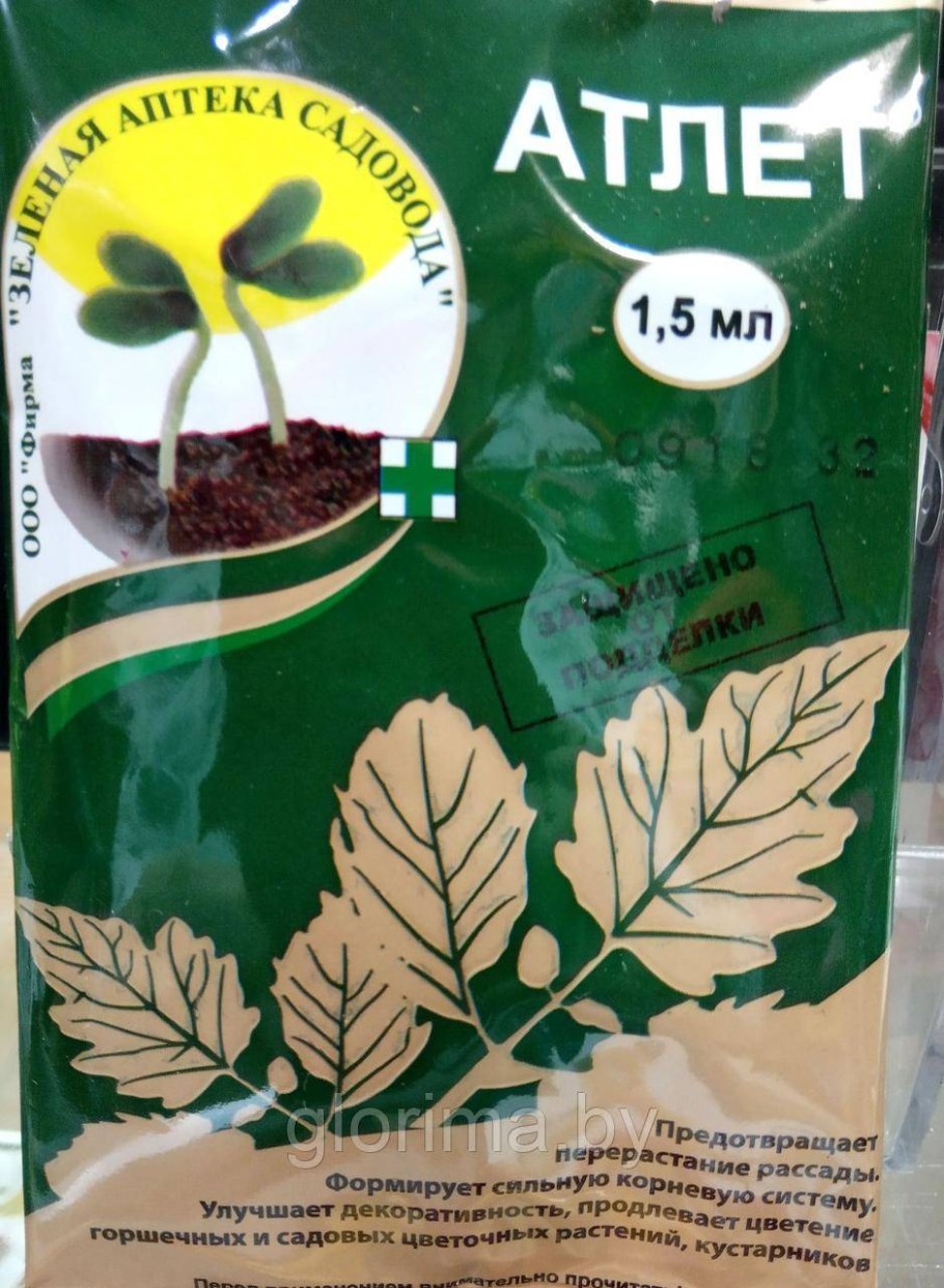 Крепень - регулятор роста рассады