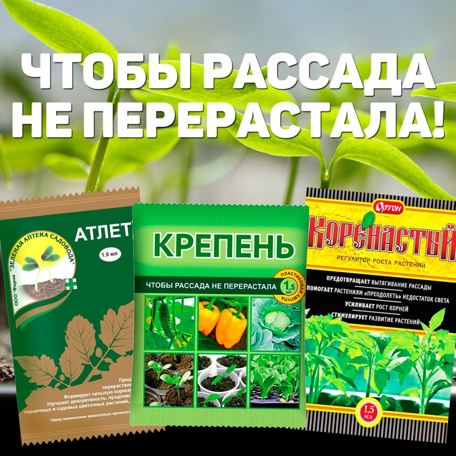 Средство от перерастания рассады