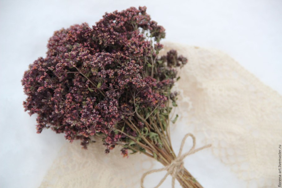 Душица обыкновенная compactum