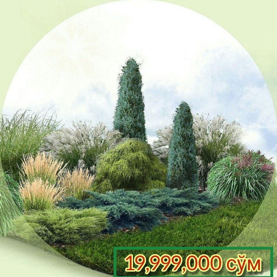 Ландшафт гуллари