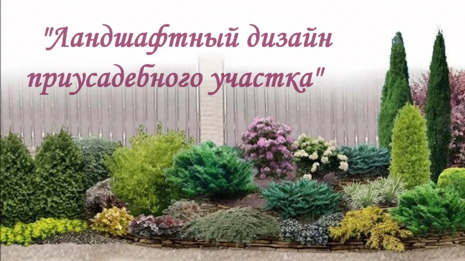 Миксбордер с туями