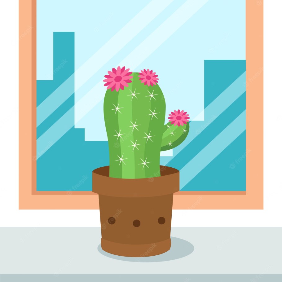 Кактус versierd