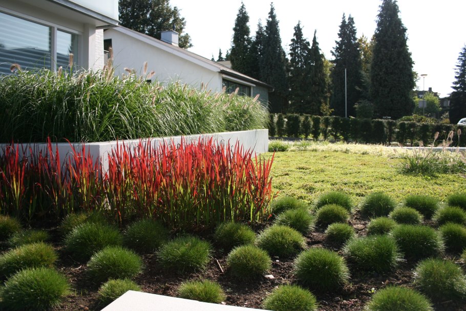 Императа и Барбарис