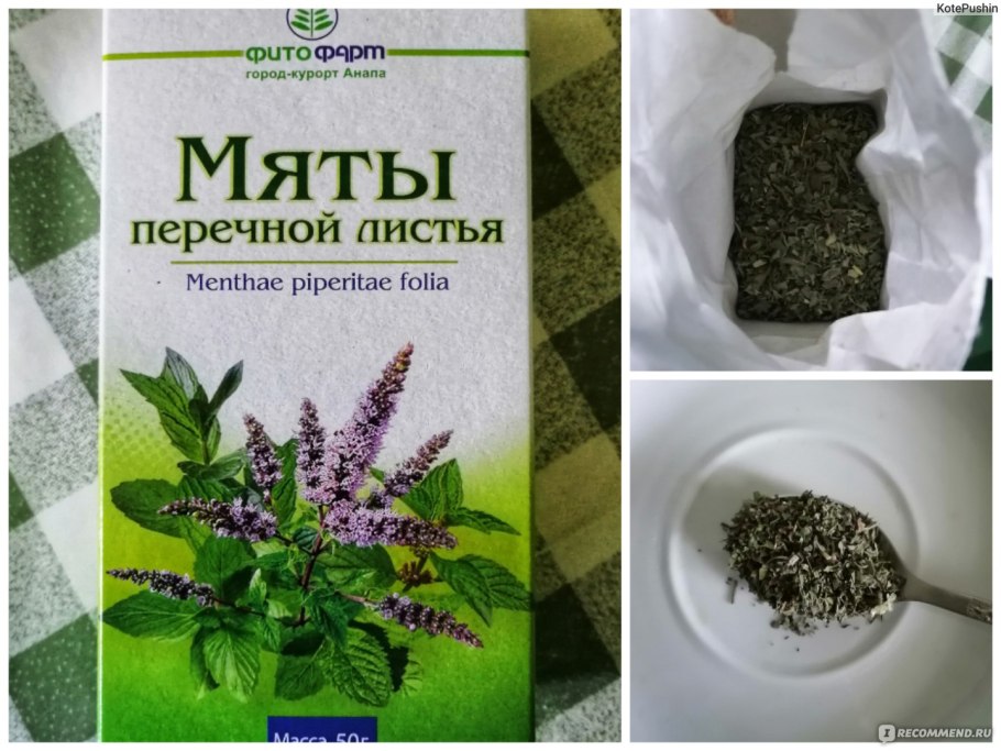 Мяты перечной листья сырье