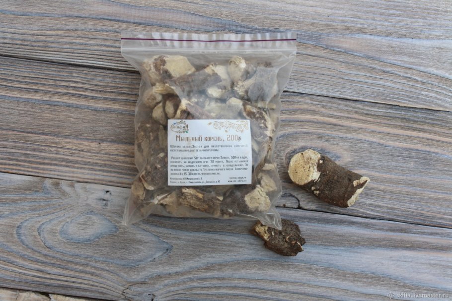 Мыльнянка обыкновенная