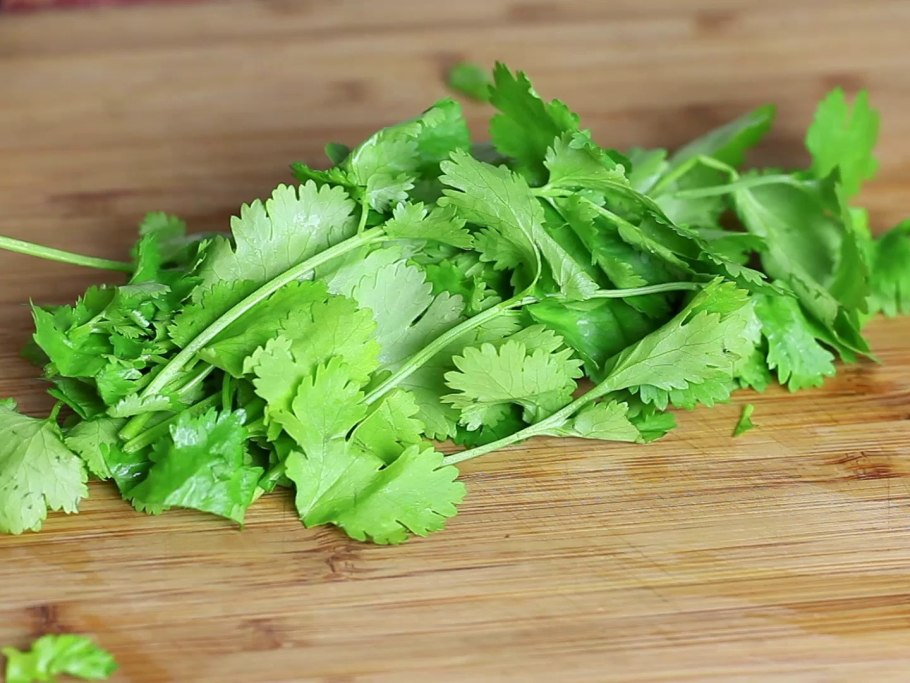 Кориандр посевной (Coriandrum sativum)