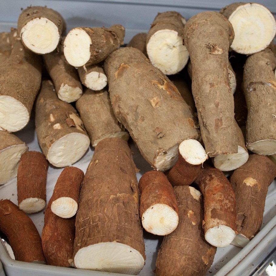 Маниок Вариегата