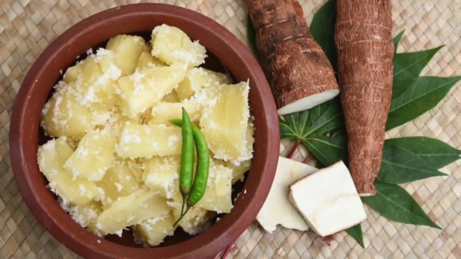 Корень ямса