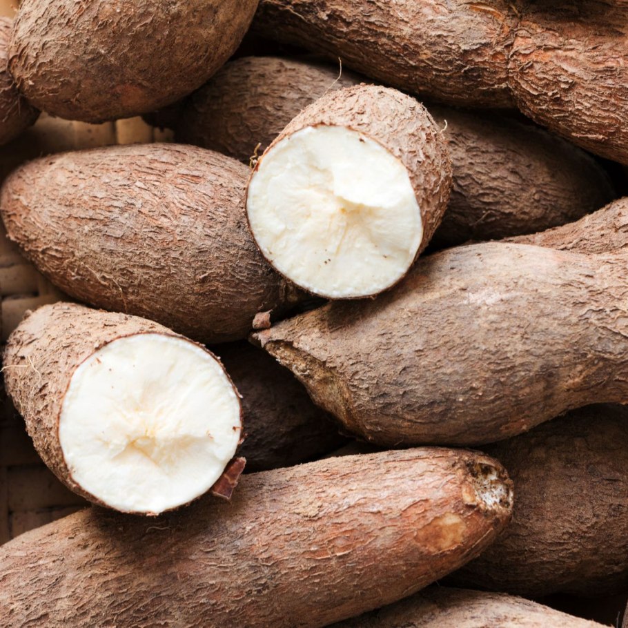 Кассава корнеплод