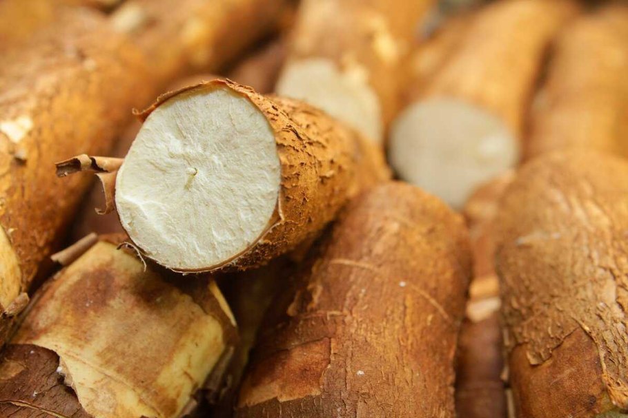 Маниок в Африке