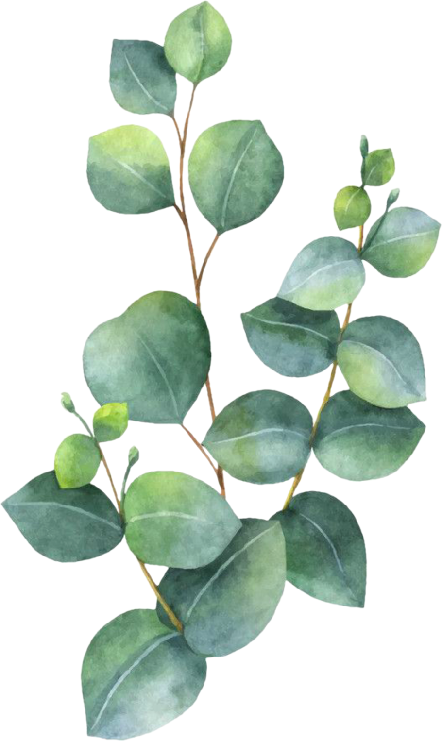 Компосор лекарство