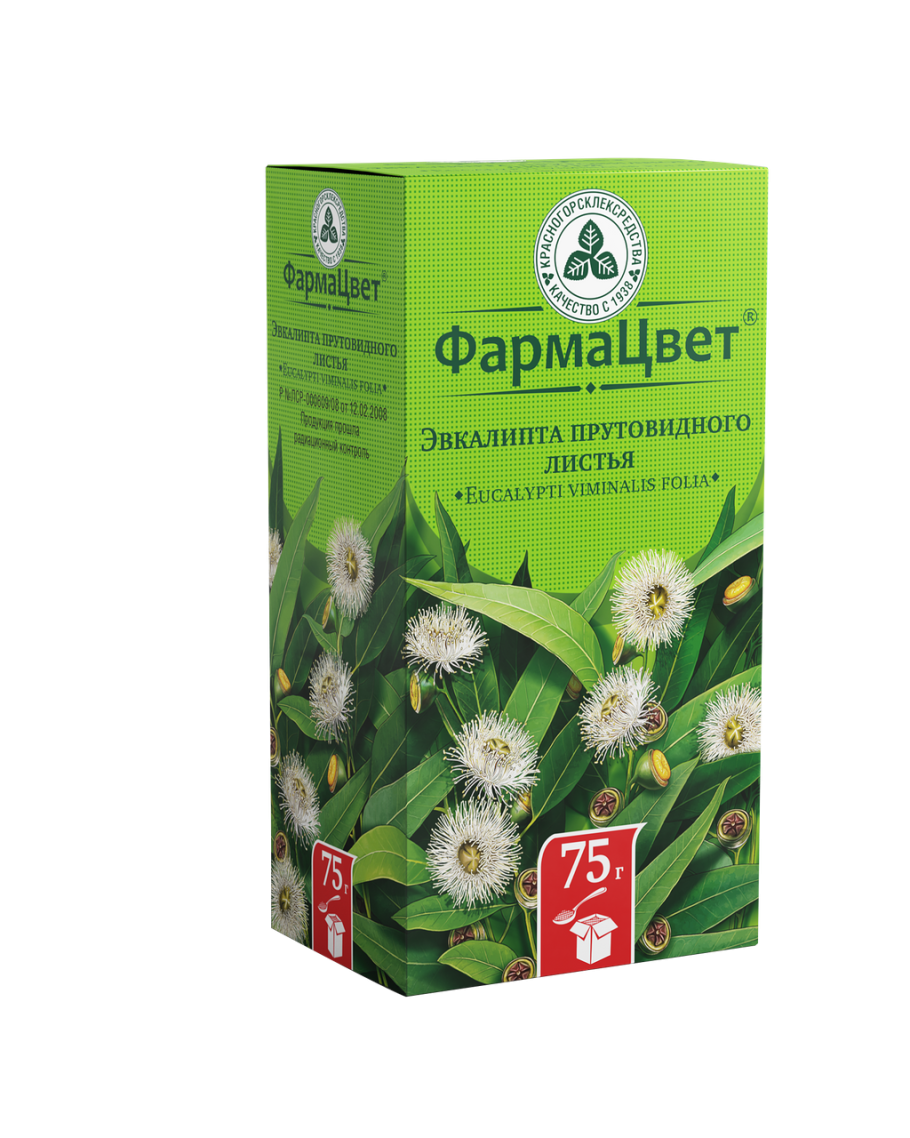 Листья эвкалипта прутовидного