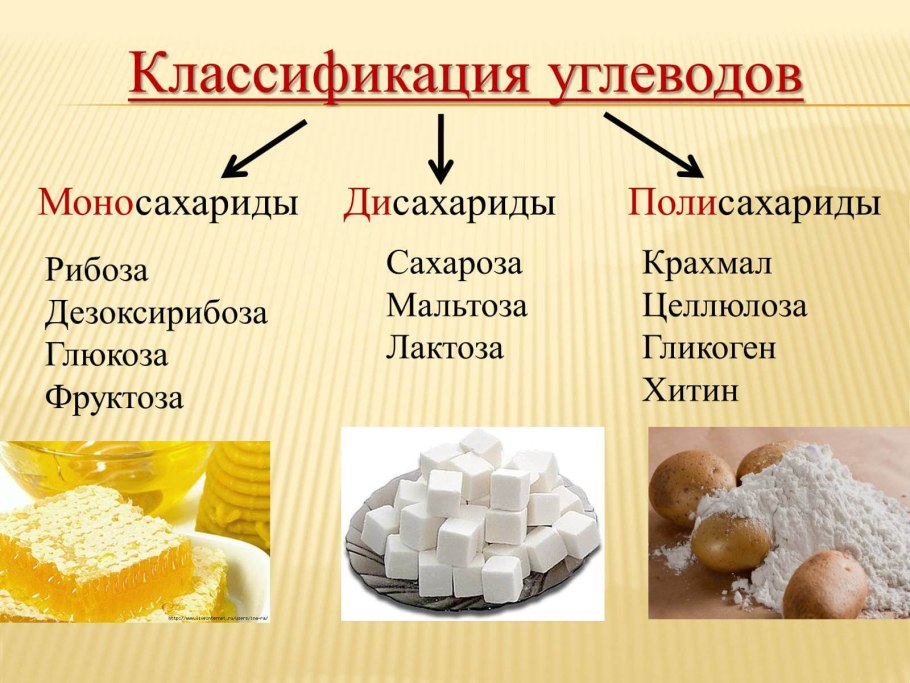 Полезные жиры в продуктах питания