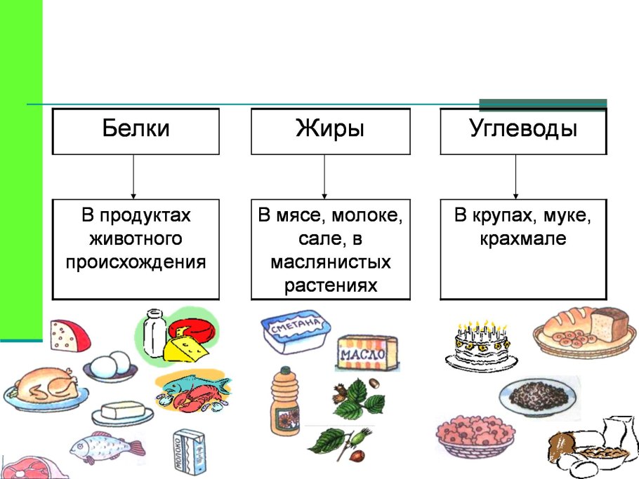 Пищевые жиры