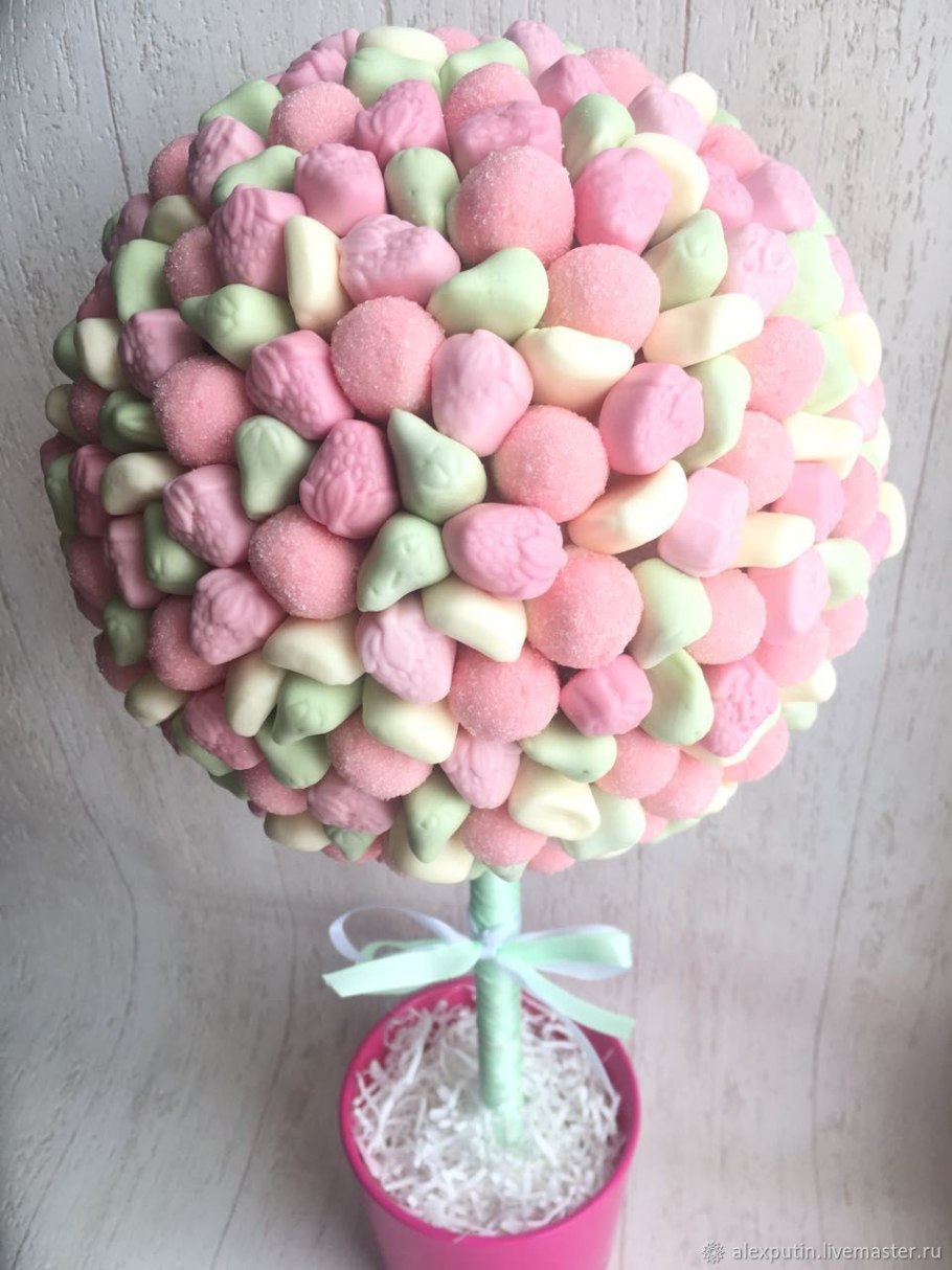 Подокарпус плоды