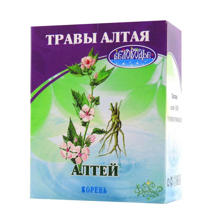 Ботанический рисунок Алтея лекарственная