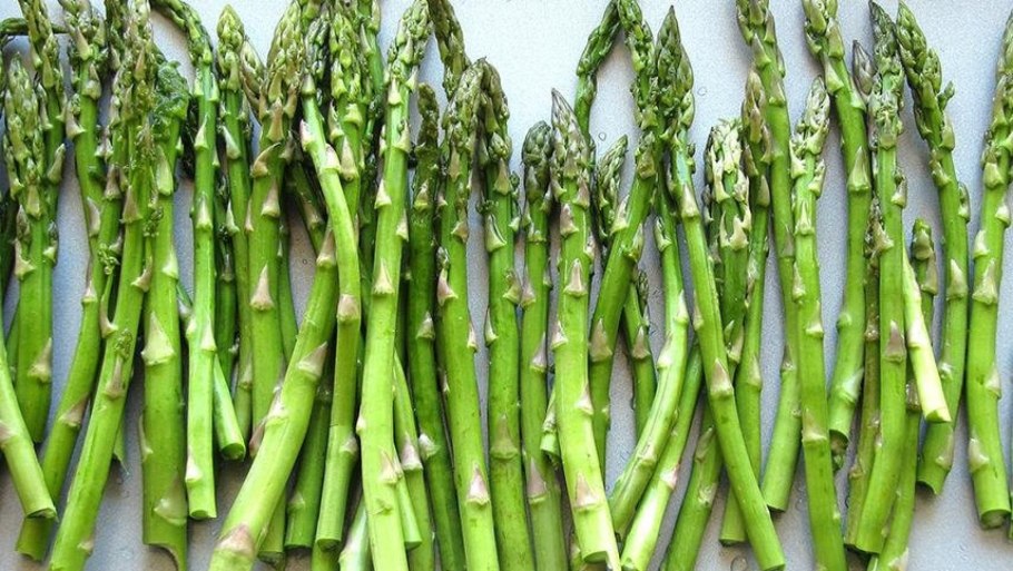 Спаржа аптечная лекарственная