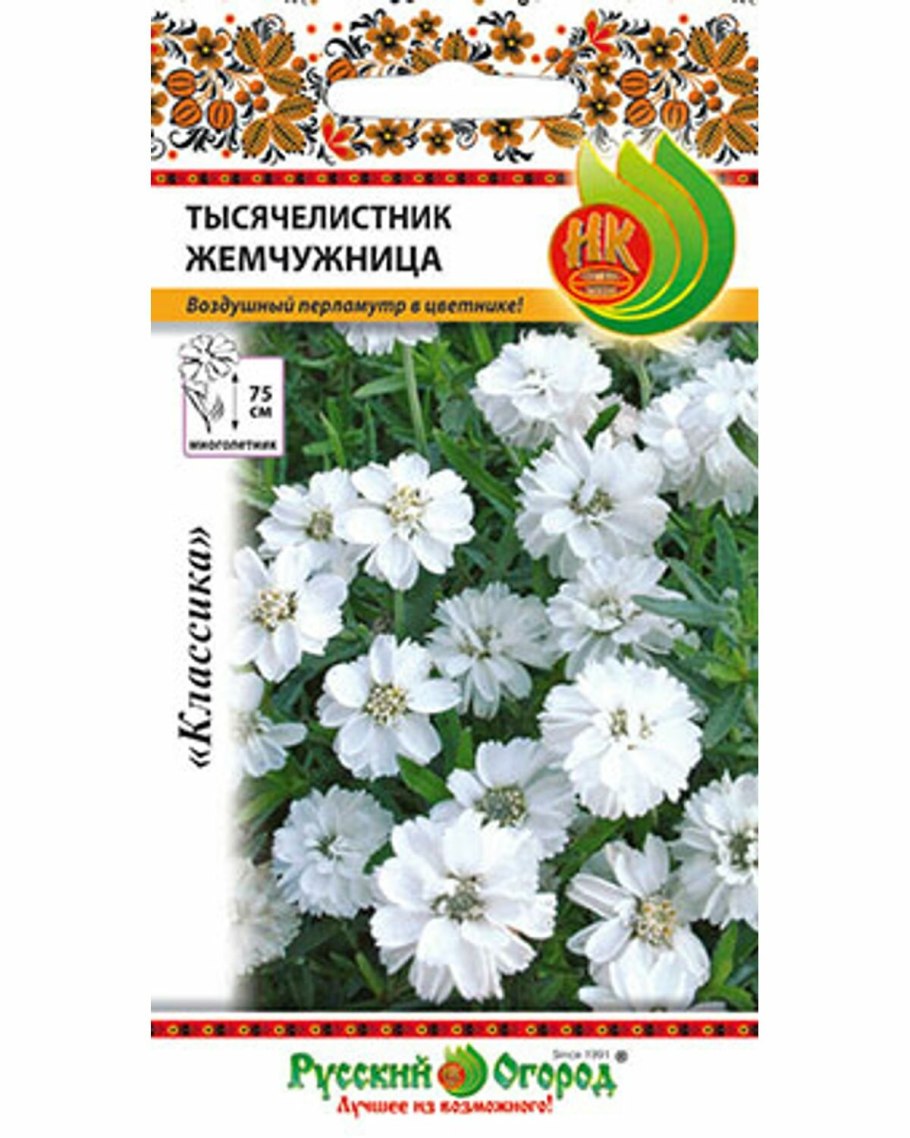 Тысячелистник Жемчужница русский огород
