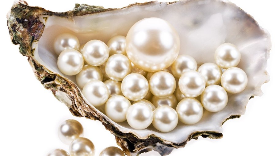 Тысячелистник птармика