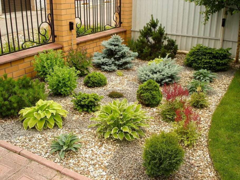 Туя в рокарии