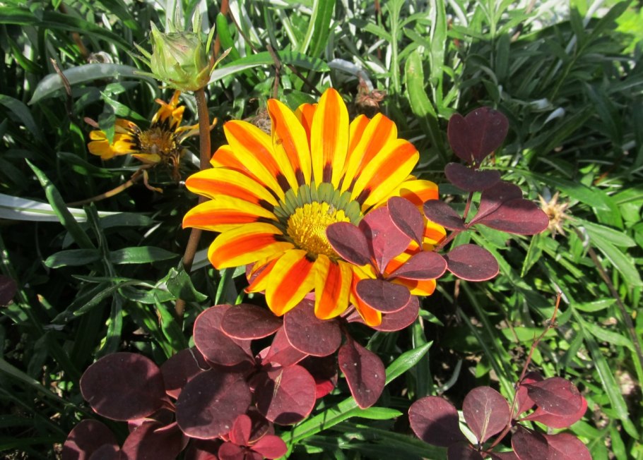 Гацания бордюрная смесь