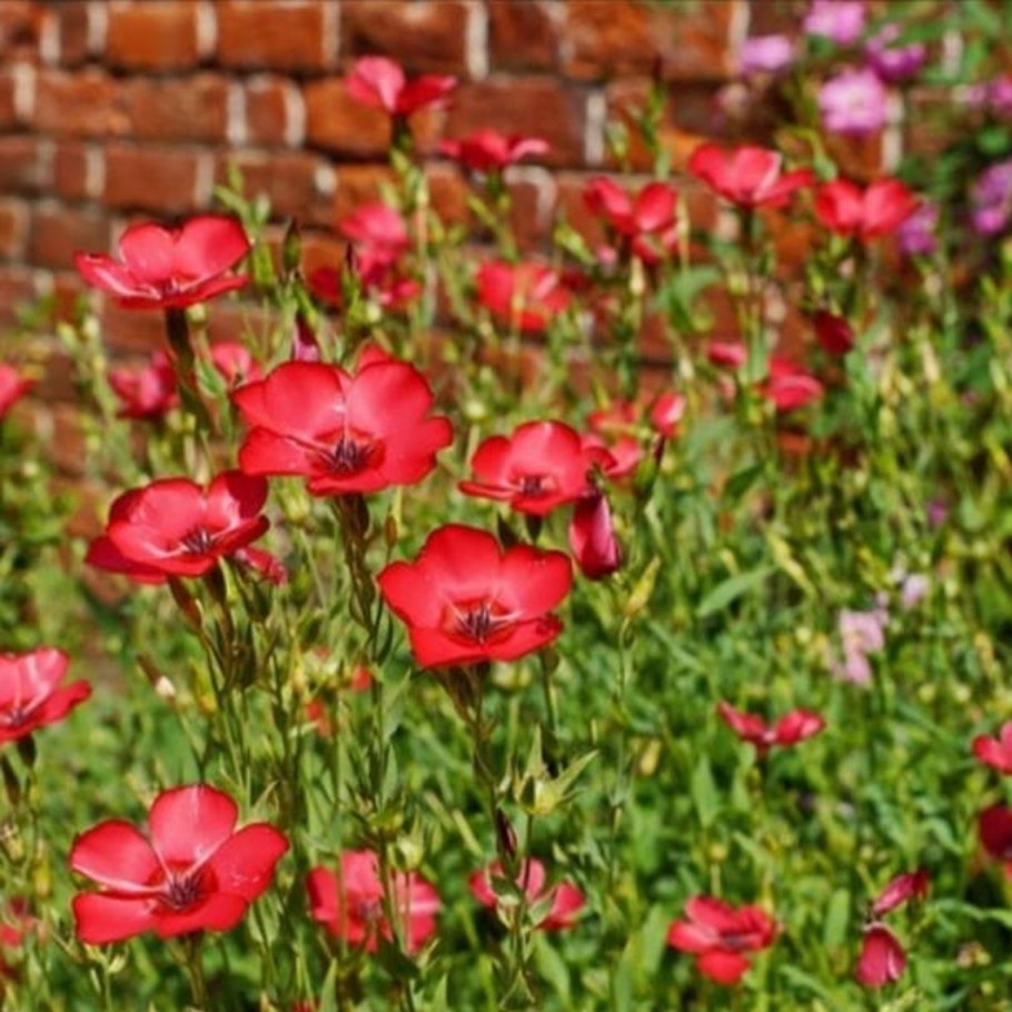 Ткань для полотенца плотная лен