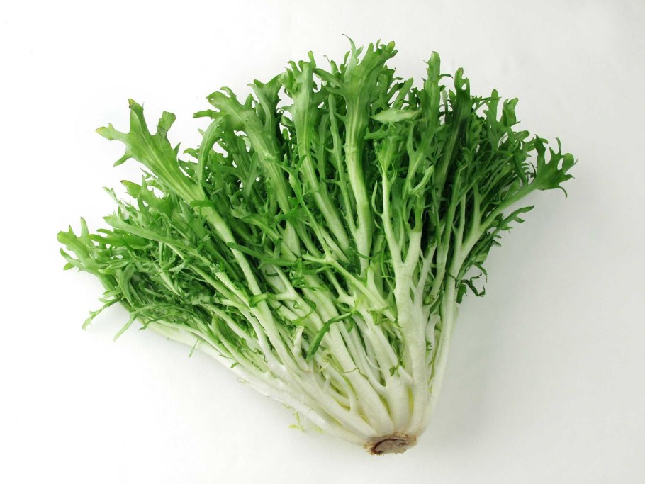 Эндивий и фризе