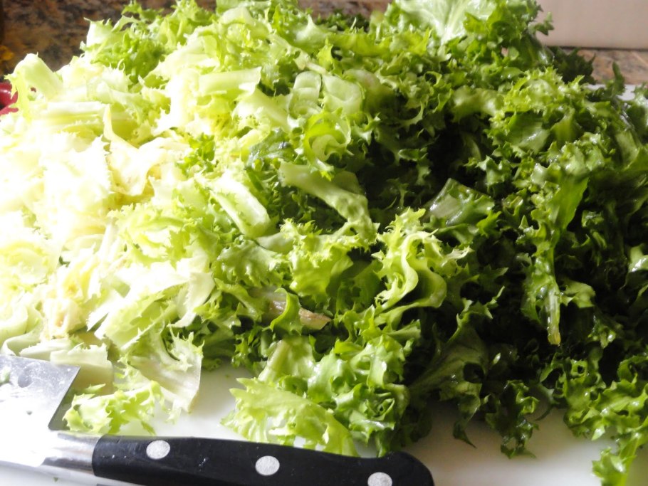 Цикорный салат эндивий