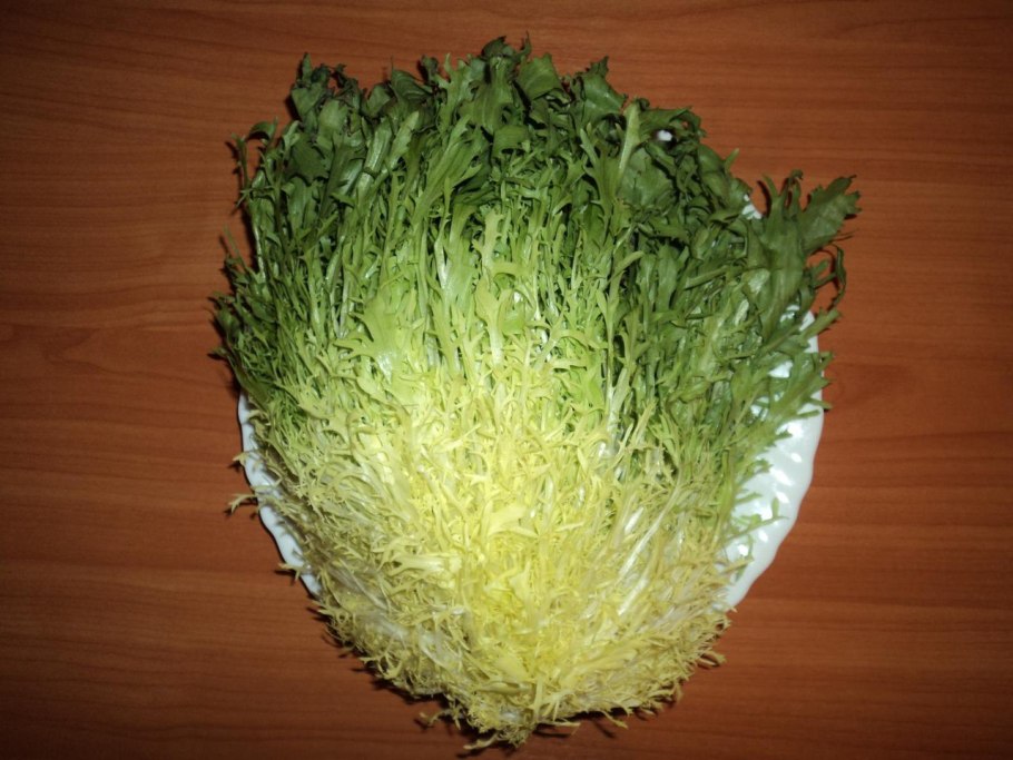 Салат фризе на белом фоне