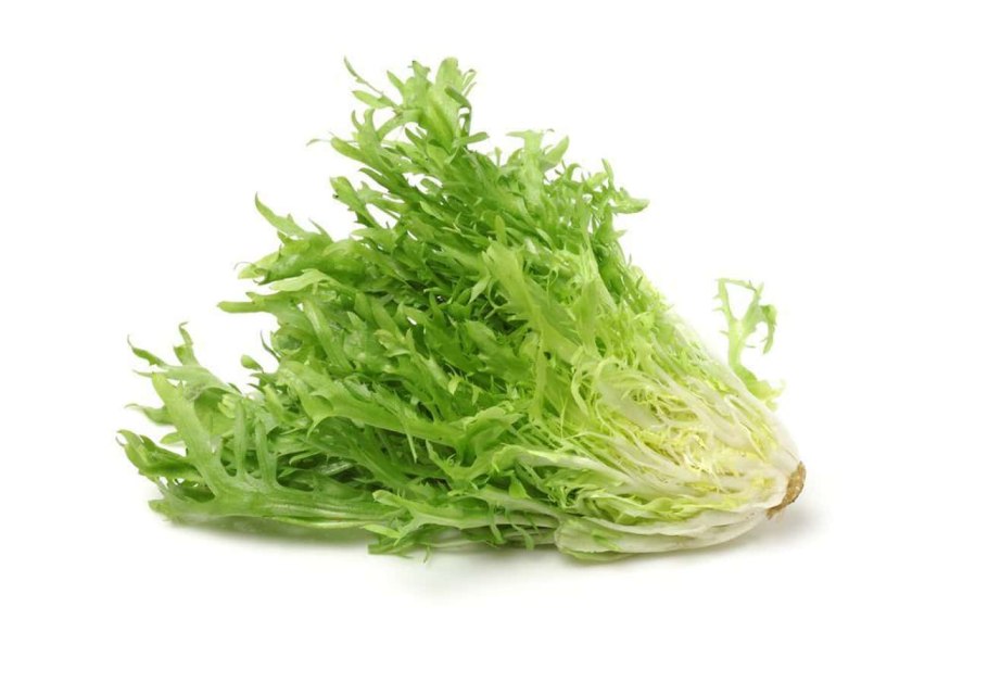 Салат эндивий Миледи