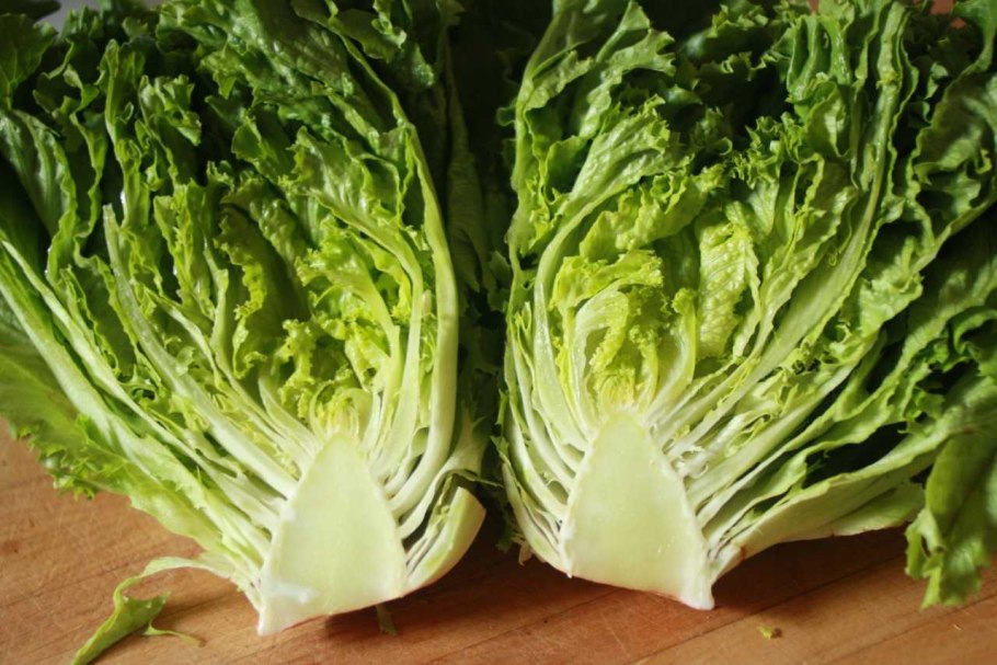 Латук листовой и кочанный