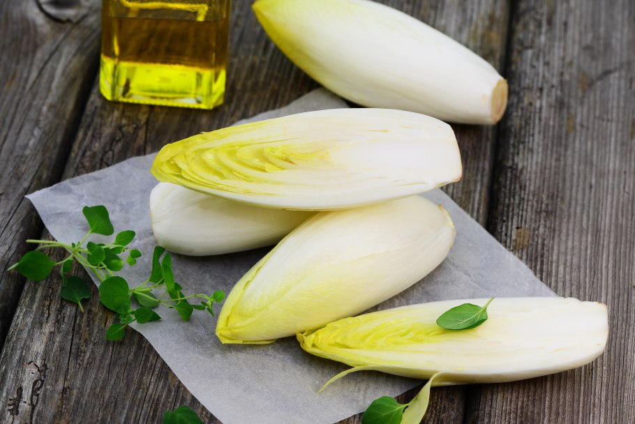 Эндивий витлуф