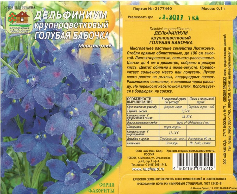 Дельфиниум белая бабочка