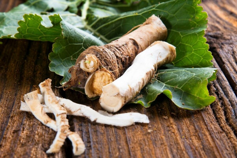 Корневище хрена